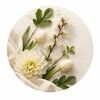 figleafrack